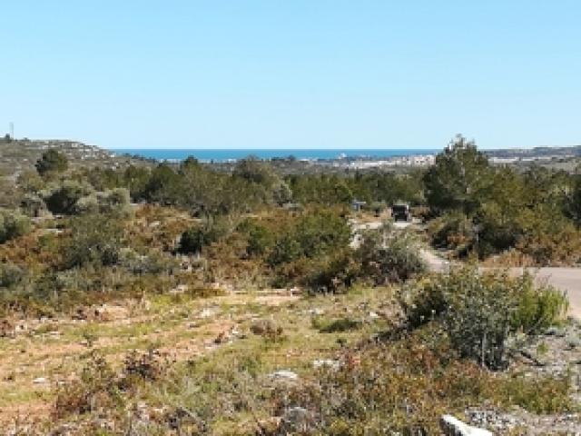 Fincagrundstück mit Wasservertrag an der Costa del Azahar Spanien nahe Peniscola + Benicarlo. - 1